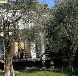 Toscolano Maderno House | La terrazza sugli ulivi