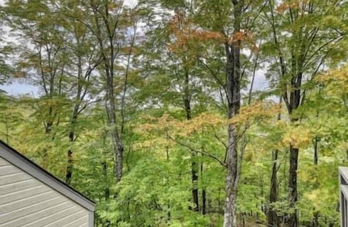 Mont-Tremblant Pedestrian Village Apartment | Le Chic Cabriolet: Cozy Ski Condo 300m to Lifts!