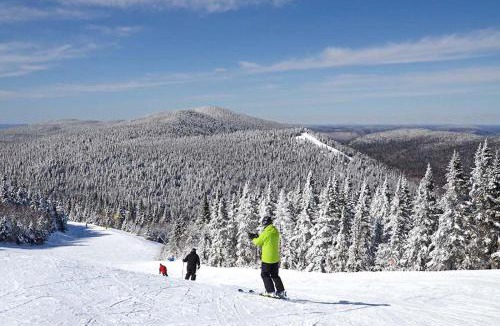 Brebeuf House | Le Chickadee Chalet, Near Mont-Tremblant, River & Beach View, Wooded Area