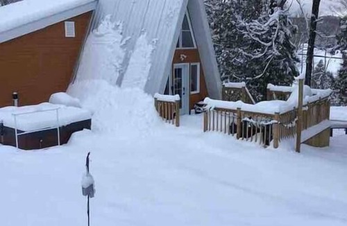 Chertsey Cabin | Le Petit Lièvre CITQ 298679