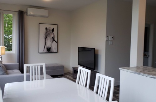 Chicoutimi Apartment | Le Tcheko Timi 3 rooms downtown Chicoutimi