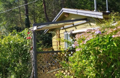 Madeira Park Cabin | Lily Lake Rock Cabin surrounded by nature