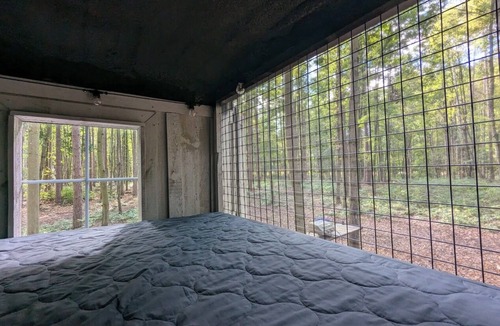 Langton Cabin | Little Can in the Pines - Bunkie No. 2