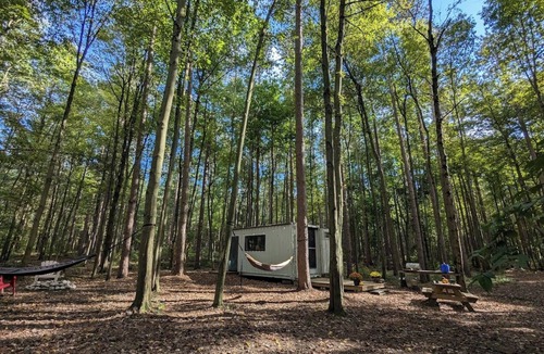 Langton Cabin | Little Can in the Pines - Bunkie No. 2