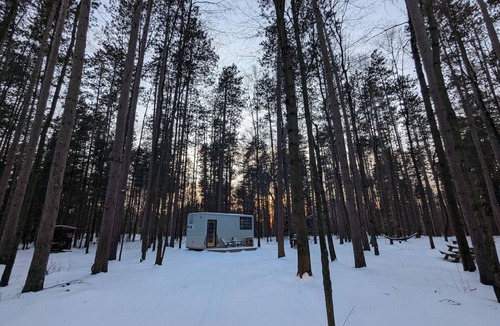 Delhi Cabin | Little Can in the Pines - Bunkie No. 1