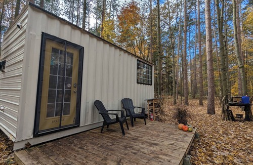 Delhi Cabin | Little Can in the Pines - Bunkie No. 1