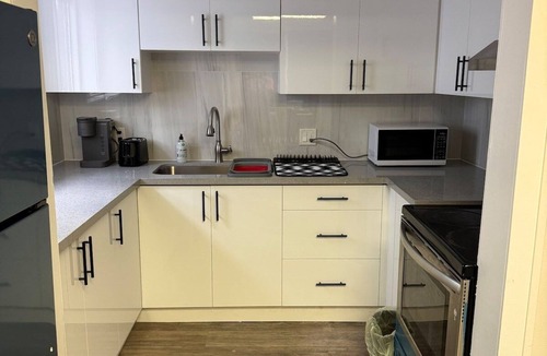 Walkerville Apartment | loft Apt On Wyndotte | 2bed 1bath | Nr tunnel