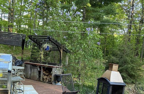 Mountain Grove Cabin | Log Cabin Getaway for Nature Lovers. An escape from the city with animal friends