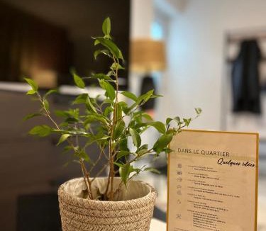 Cote-Saint-Paul Apartment | Logement complet, proche métro, parking gratuit