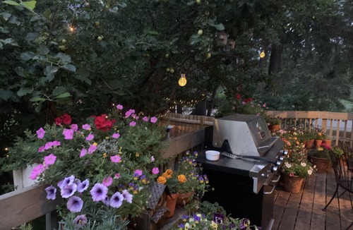Banff House | luxury, in the Rockies, Private, Corporate or Family Retreat