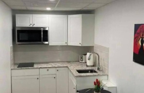 Fort Gary Apartment | Luxury One Bedroom In A Modern Basement.