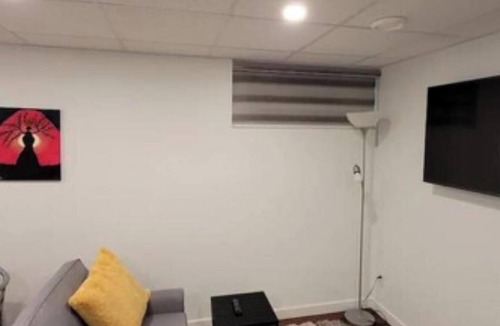 Fort Gary Apartment | Luxury One Bedroom In A Modern Basement.