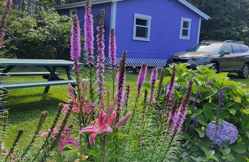 York Cottage | Lyons Cottages - Cottage #5, 2BR Walk to the Beaches of Stanhope National Park!
