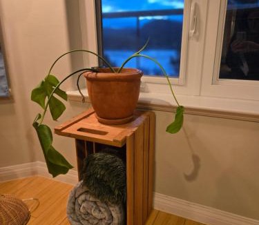 Madeira Park Bed & Breakfast | Madeira Park Oceanview Suites