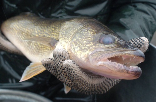 Dunnottar House | Manitoba Monsters Await- LW Ice Fishing Accommodations