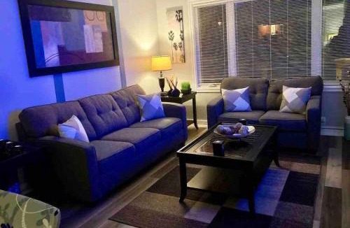 Downtown St. John's Apartment | Maple Blue