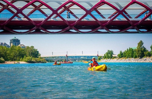 Bridgeland House | Merlot House – Retro Wine-Inspired Stay Near Downtown & Stampede Grounds