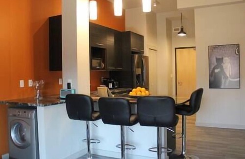 Red Deer Apartment | Metropolitan Loft 201