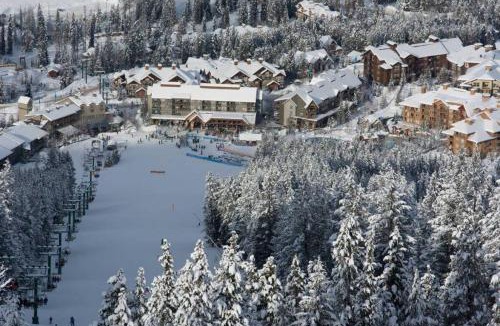 East Kootenay Apartment | Moguls, Lofted Ski in Ski Out with Hot Tub Access