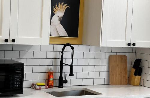 Downtown Apartment | Monkey Jungle Vibrant 2-BDRM Rooftop Access, Unit #6