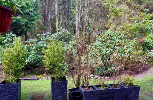 District of North Vancouver House | Nature retreat: beach and ski. Luxury large Master bedroom w/private en-suite.