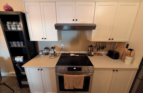 Hillside - Quadra - Downtown Blanshard Condo | New, fully renovated, modern condo in the vibrant Quadra Village neighbourhood