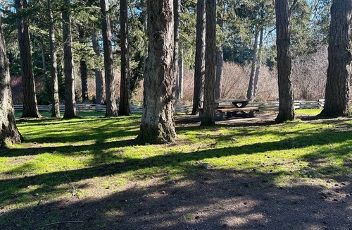 Langford Apartment | New Listing! Cozy one bedroom beach retreat with easy access to everything !