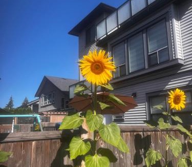 Maple Ridge Apartment | New, Spacious 2 Bedrooms in Downtown With Free Parking!