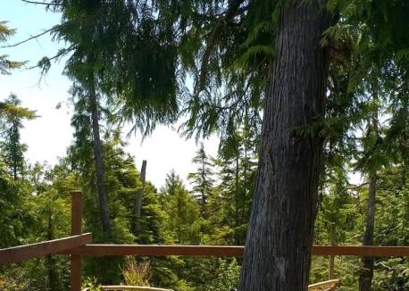 Ucluelet House | Off grid tiny home: the Seer tree house Medicine Farm