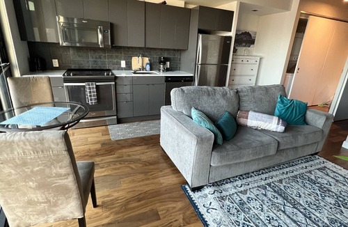 Downtown Winnipeg Apartment | One bed downtown laundry wifi across from the Jets arena
