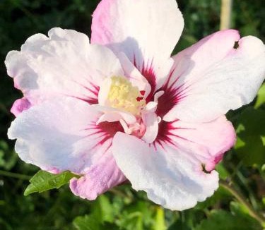 Enniskillen Bed & Breakfast | Our Valley View Bed & Breakfast
