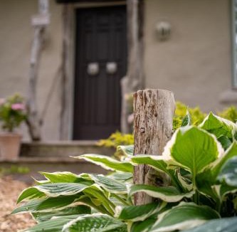 Carrying Place Bed & Breakfast | Owl's Nest Suites