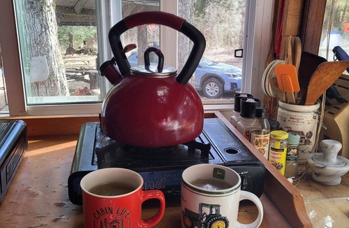 Baysville Cabin | Peaceful Cabin in the Woods near lake, wildlife. Hike, swim, fish and boat.