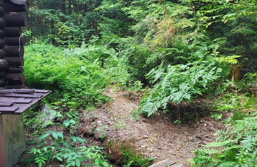 Baysville Cabin | Peaceful Cabin in the Woods near lake, wildlife. Hike, swim, fish and boat.