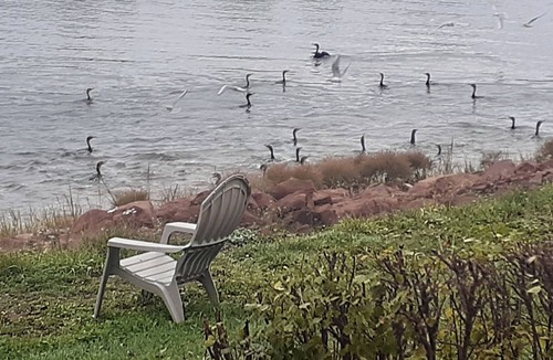 Cardigan Apartment | PEI Waterside Apt. #3, quiet waterfront Apt., beach, scenic view, great sunsets