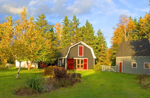 Margaree Valley Cottage | Potter's Cottage in Lovely Margaree Valley