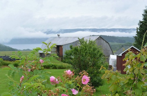 Sainte Rose du Nord Resort | Private room ∙ 6 guests