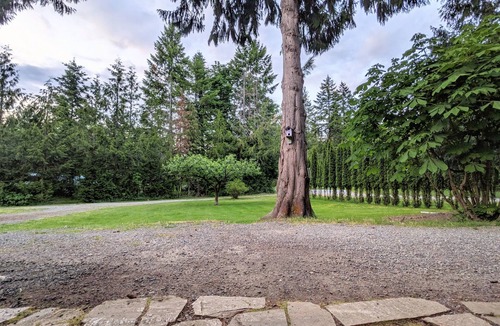Cobble Hill House | Private cottage in Shawnigan lake/Cobble hill area