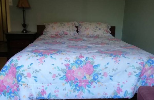 Pinehouse Resort | Private room ∙ 1 guest