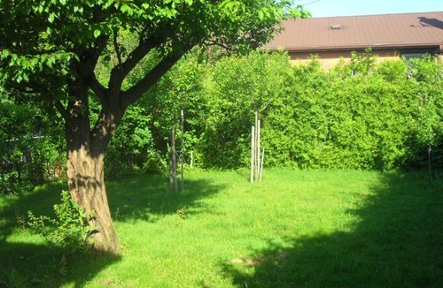 Pinehouse Resort | Private room ∙ 1 guest