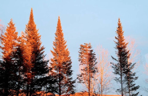 Brighton Resort | Private room ∙ 2 guests