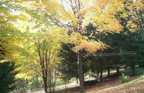 Quinte West Resort | Private room ∙ 2 guests