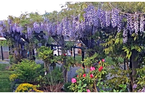 North Cowichan Apartment | Private suite located on the garden side of our home