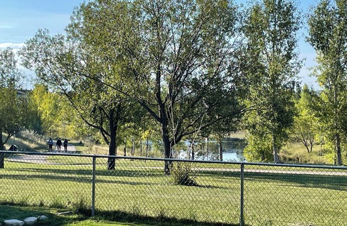 Okotoks Apartment | Private Walk Out Basement Suite with Pond Views, Separate Entrance