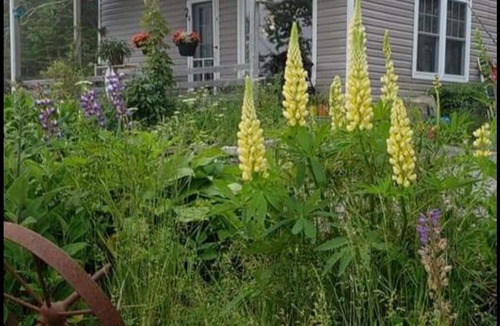 Port Hilford Cottage | Quiet seaside cottage, close to Historic Sherbrooke Village. No pets allowed.