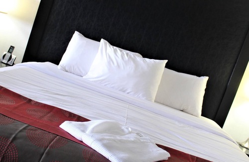 Regina Hotel | Ramada Plaza by Wyndham Regina Downtown