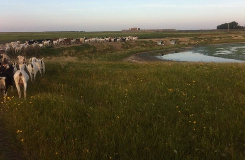 East Central Saskatchewan House | Relax in the Prairie