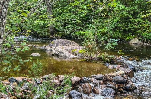 Sainte Rose du Nord Cabin | River/Wooden hottub Luxurious Shack in the forest