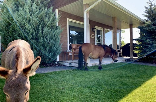 Strathmore Cabin | Rocking R Guest Ranch