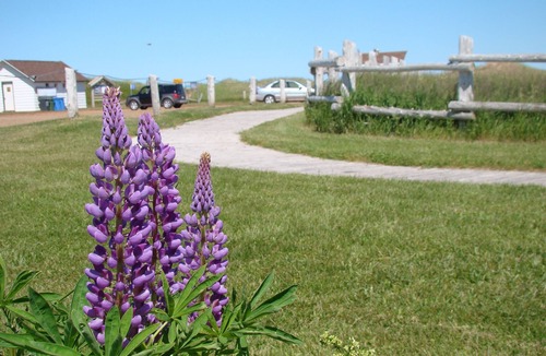 North Rustico House | Rustic Harbour House